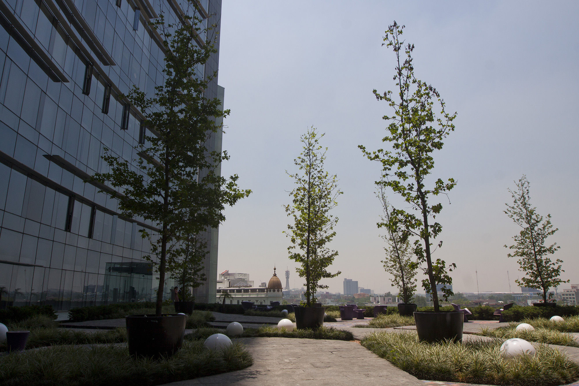Plaza Apartment *